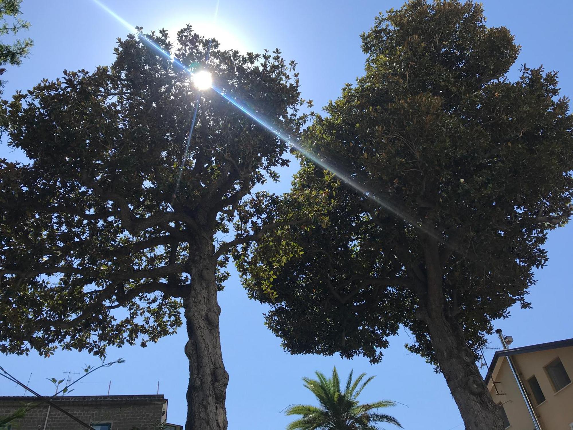 Villa Falconieri Sorrento Suite Sant'Agnello Bagian luar foto